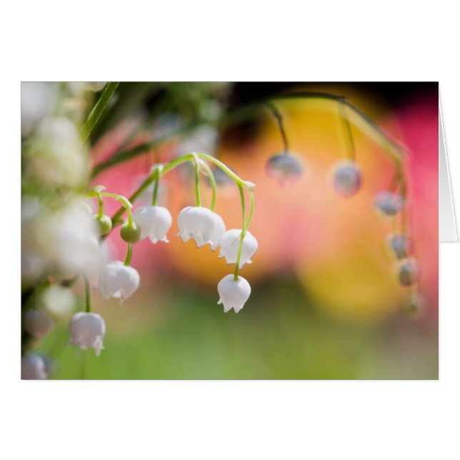 Lily of the Valley folded card Hälsningskort (Framsidan Horizontal)