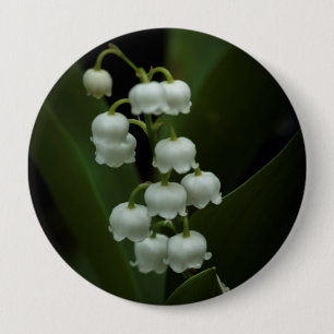 Lily of the Valley Knapp