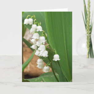 Lily of the Valley Kort
