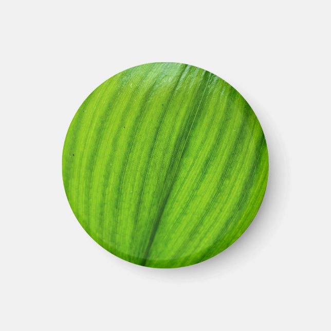 Lily of the Valley Magnet (Framsidan)
