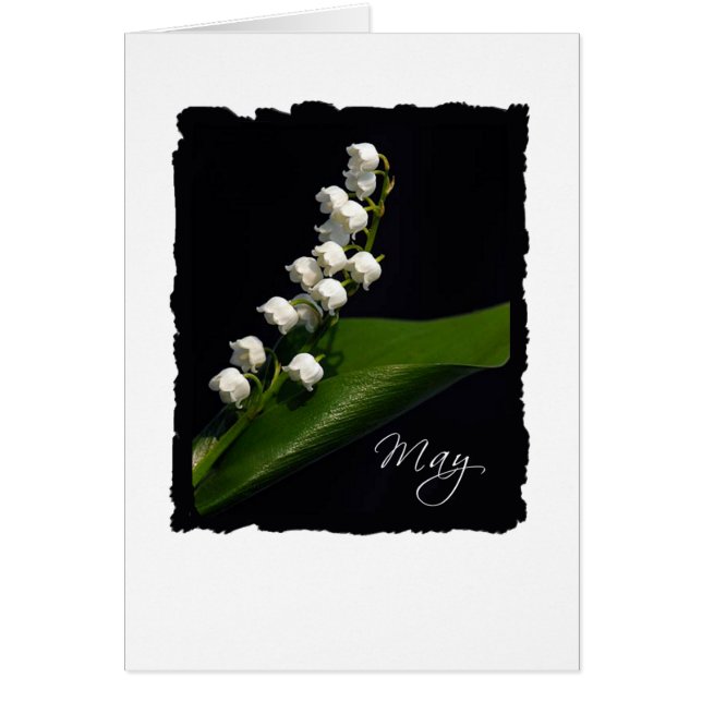 Lily of the Valley - May Hälsningskort (Framsidan)