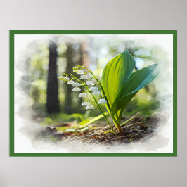Lily of the valley National Flower Finland | Poster