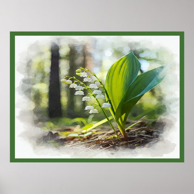 Lily of the valley National Flower Finland | Poster (Framsidan)