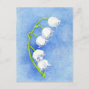 Lily of the Valley Postcard Vykort
