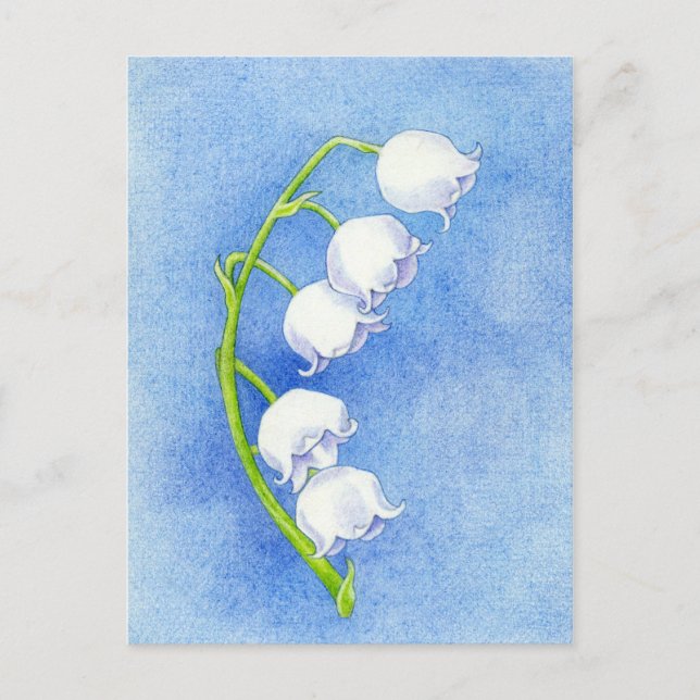 Lily of the Valley Postcard Vykort (Framsida)