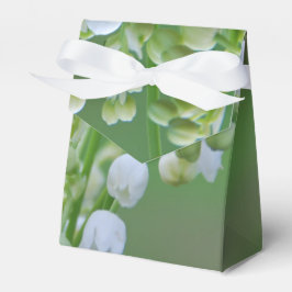 Lily of the valley presentaskar