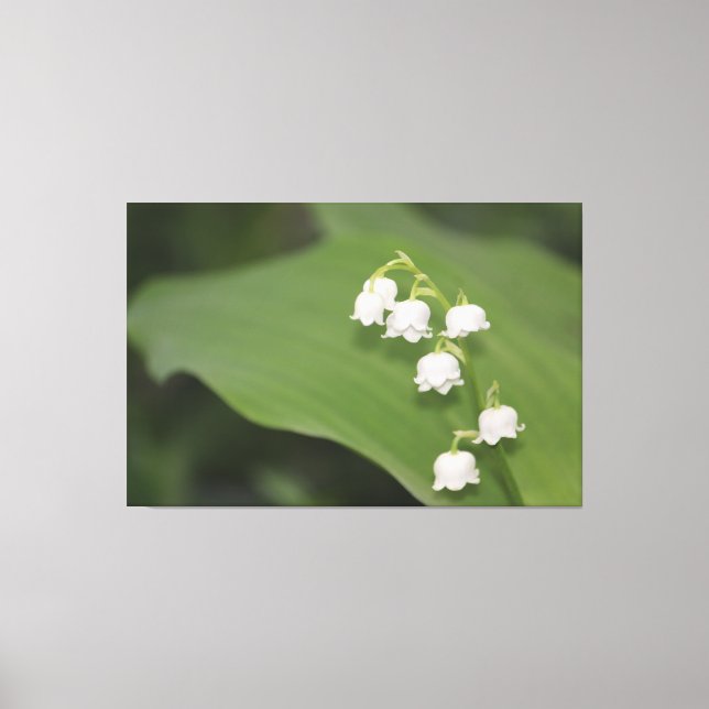 Lily of the Valley Print Canvastryck (Framsida)