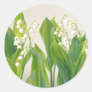 Lily of the Valley Runt Klistermärke