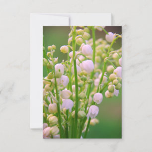 Lily of the valley tack kort