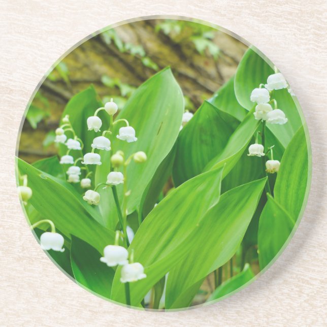 Lily of the Valley Underlägg (Framsidan)