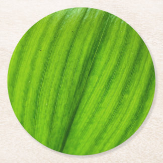 Lily of the Valley Underlägg Papper Rund