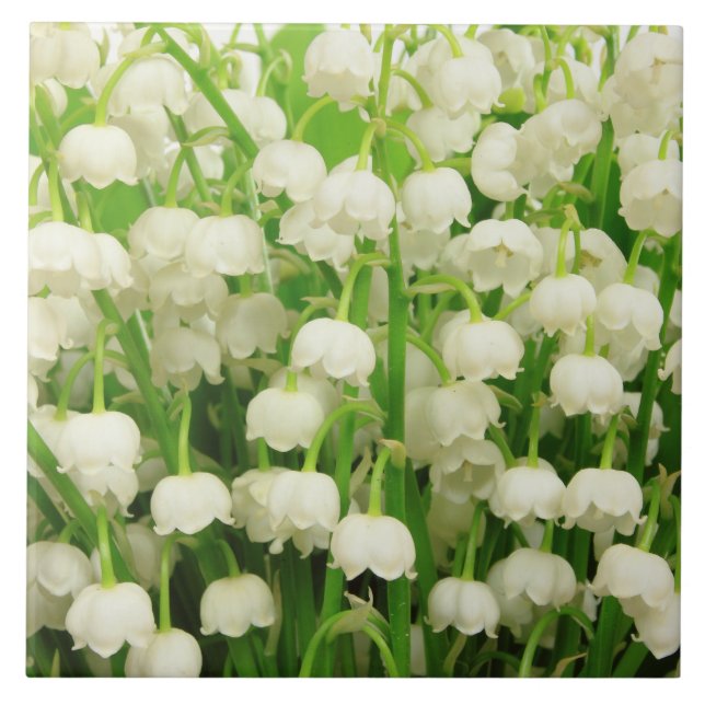 Lily of the Valley Vår blommor Kakelplatta (Framsidan)