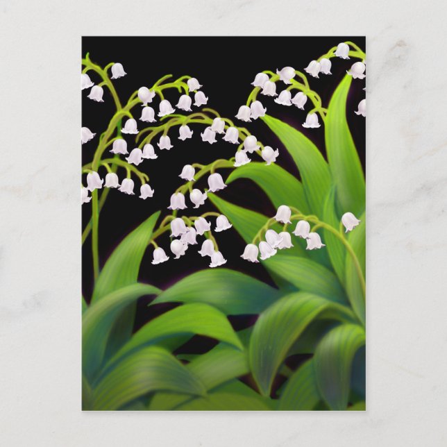 Lily of the Valley Vykort (Framsida)