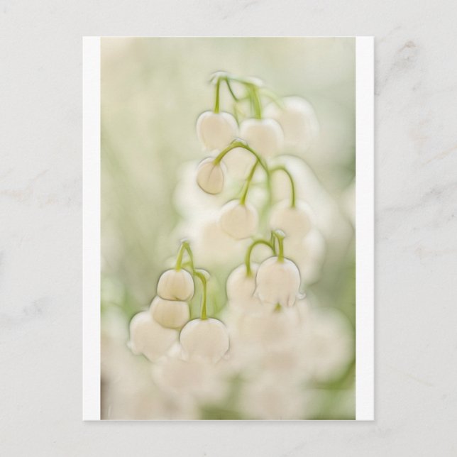 Lily of the Valley Vykort (Framsida)