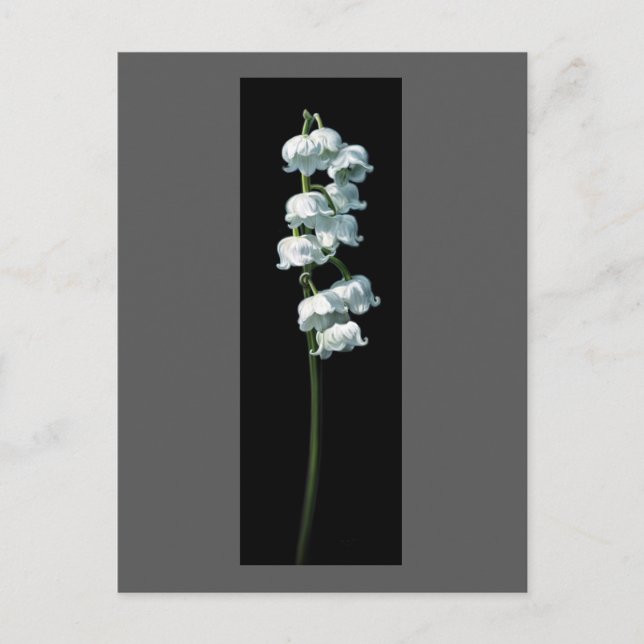 LILY OF THE VALLEY VYKORT (Framsida)