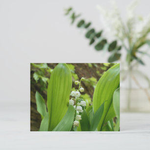 Lily of the Valley Vykort