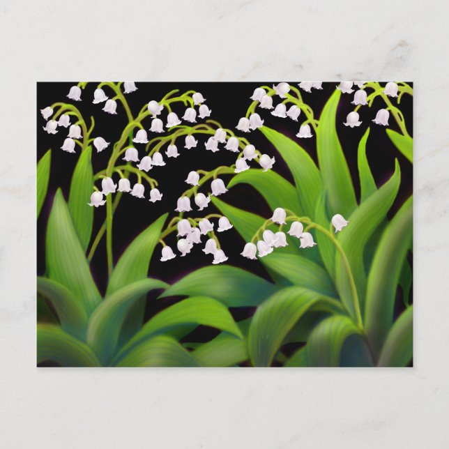 Lily of the Valley Vykort (Framsida)