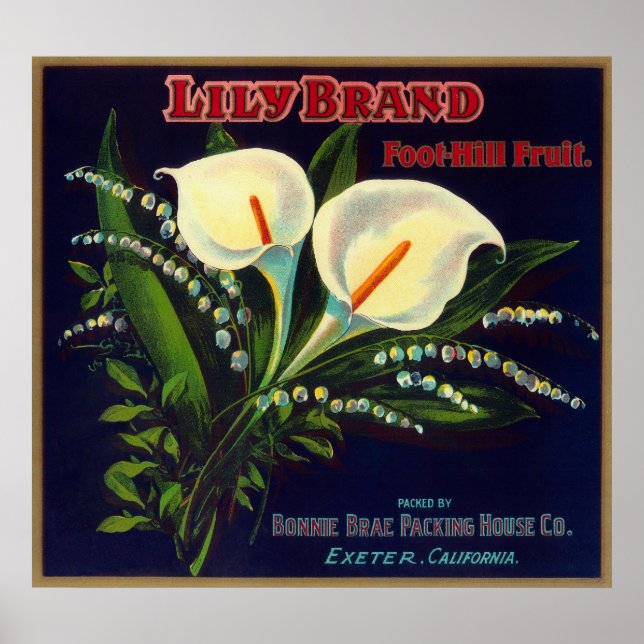 Lily Orange LabelExeter, CA Poster (Framsidan)