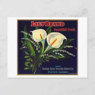 Lily Orange LabelExeter, CA Vykort