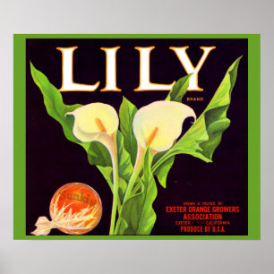 Lily orange låda 1930-talet poster