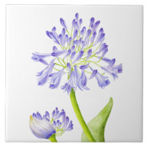 Lily på Nilen på en keramisk platta