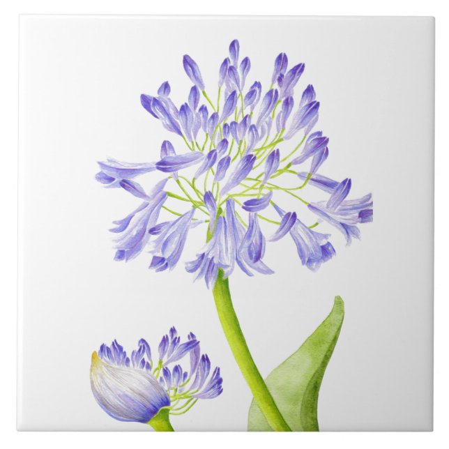 Lily på Nilen på en keramisk platta Kakelplatta (Framsidan)