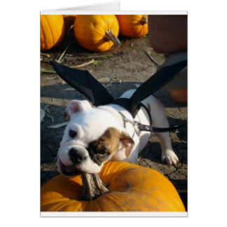 Lily på Pumpkin Patch Hälsningskort