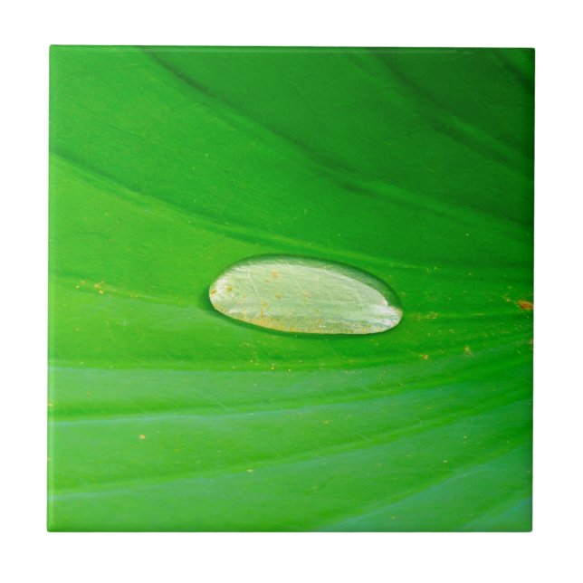 Lily Pad Ceramic Tile Kakelplatta (Framsidan)