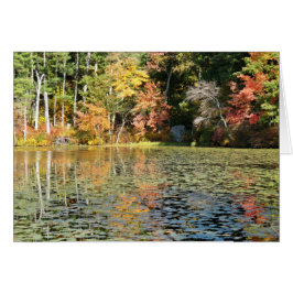 Lily Pad Cove - Whitney Pond Hälsningskort