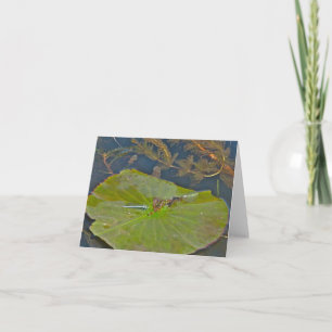 Lily Pad & Damselfly Note Card Kort