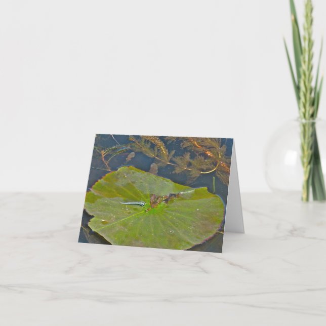 Lily Pad & Damselfly Note Card Kort (Framsida)