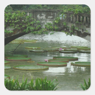 Lily Pad Foto-dekal Fyrkantigt Klistermärke