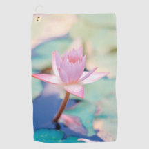 Lily Pad Fotography Flower Vatten