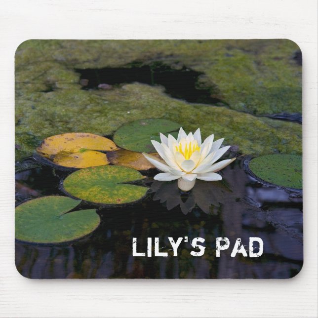 Lily Pad i damm Musmatta (Framsidan)