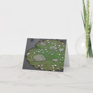 Lily Pad Note-kort Anteckningskort
