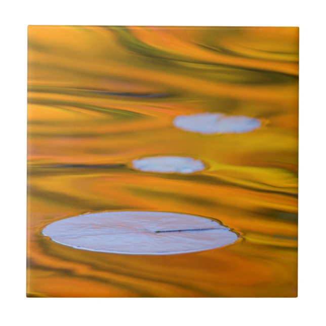 Lily pad on orange vatten, Kanada Kakelplatta (Framsidan)