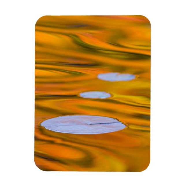 Lily pad on orange vatten, Kanada Magnet (Vertikal)