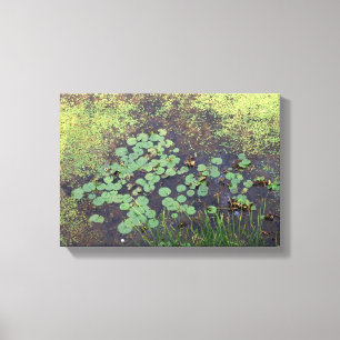 Lily Pad på Canvas