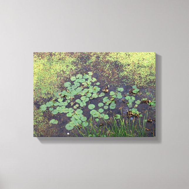 Lily Pad på Canvas (Framsida)