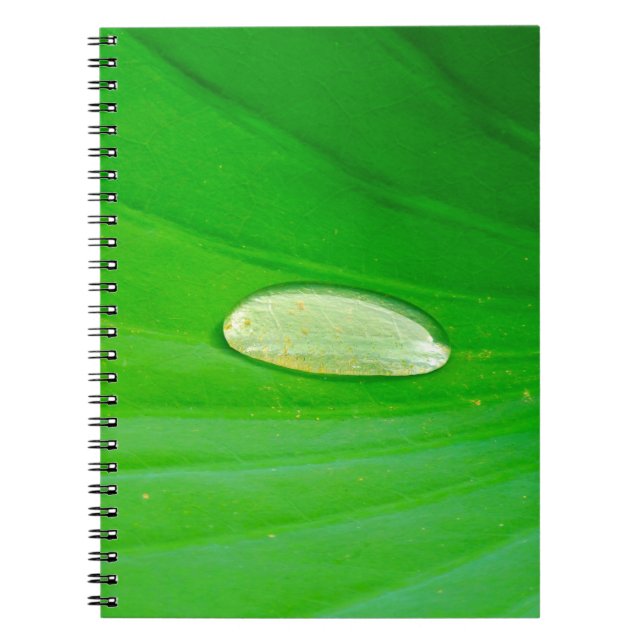 Lily Pad Photo Notebook Anteckningsbok (Framsidan)