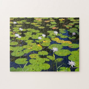 Lily Pad Pond Photo eller Ditt foto Pussel