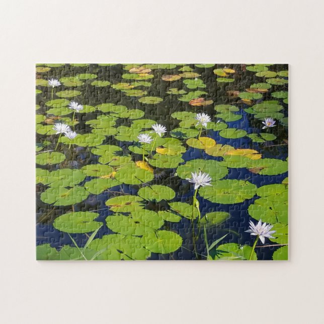 Lily Pad Pond Photo eller Ditt foto Pussel (Horisontell)