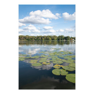 Lily Pad Sjö Fototryck
