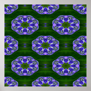 Lily Pad-stjärnor... Poster
