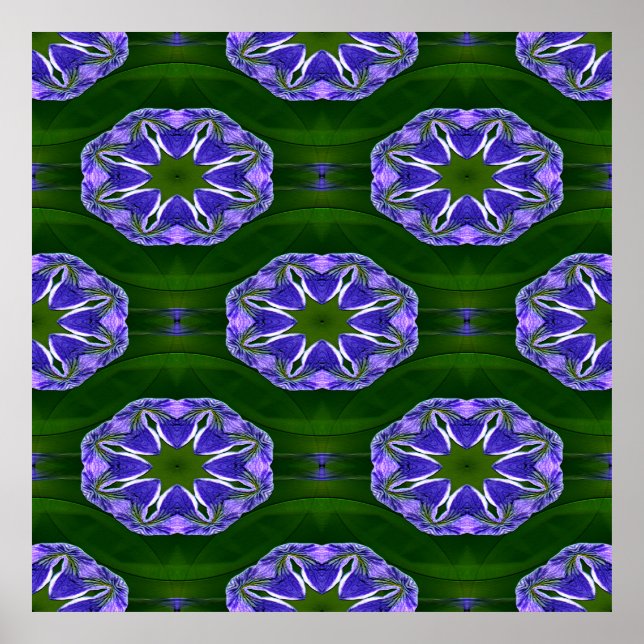 Lily Pad-stjärnor... Poster (Framsidan)