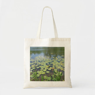 Lily Pads Memorial Park Tygkasse