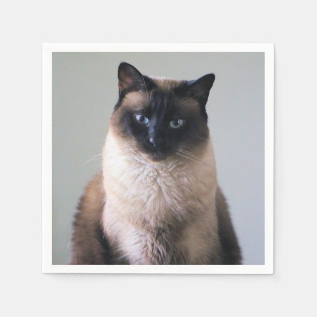 Lily Pappersservett (Framsidan)