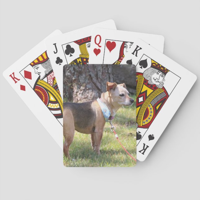 Lily Playing Cards Casinokort (Baksidan)