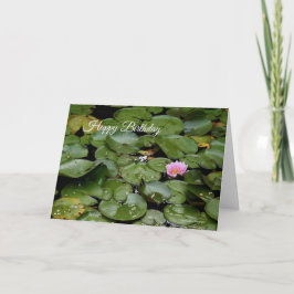 Lily Pond Birthday Card Kort