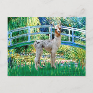 Lily Pond Bridge - Baby Llama Vykort